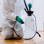 Effective Pest Control Services in Wylie, TX: Keeping Your Home Pest-Free